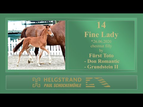 14 Fine Lady by Fürst Toto - Don Romantic - Grundstein II