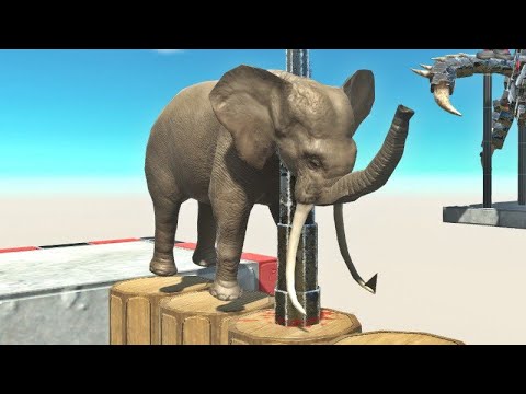 ANIMALS TRAPPED in the DEADLY SPIKE Challenge! Who Will Survive?