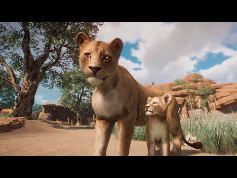 Lion's are back in Suyana Zoo!