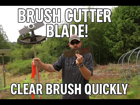 ChoirLingo Weedeater Blade Review: Clearing Brush & Saplings FAST!