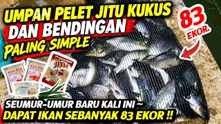 Download lagu TERBARU LEBIH KEJAM..‼️ Umpan ikan mas pelet jitu kukus dan bendingan penguras empang. mp3
