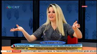 Veteriner Hekimim - Gözde Çetin Kasap - Dilara Tezel - 16 Mayıs 2018 - KRT TV