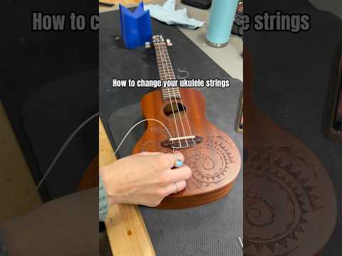 How to restring a ukulele! #ukulele #stringchange #guitartech #ukuleletutorial #restring