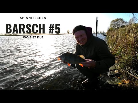 BARSCH #5 - In den Niederlanden jage ich den 40er Barsch!