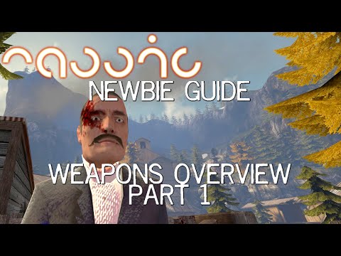 Newbie Guides - Weapons Overview, Part 1