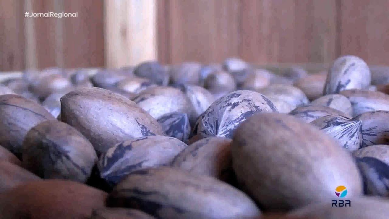 Miniatura do YouTube