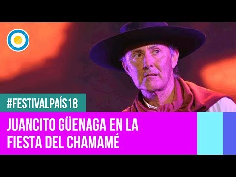 Festival País '18 - Juancito Güenaga en la Fiesta Nacional del Chamamé