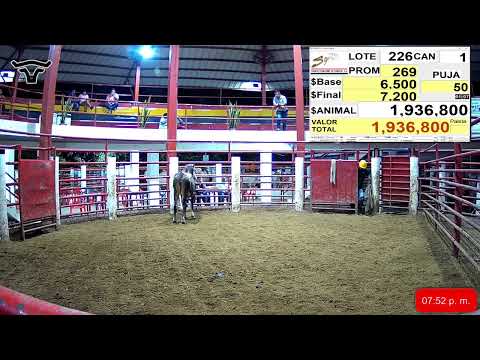 𝘽𝙞𝙚𝙣𝙫𝙚𝙣𝙞𝙙𝙤𝙨 𝙖𝙢𝙞𝙜𝙤𝙨 𝙜𝙖𝙣𝙖𝙙𝙚𝙧𝙤𝙨 𝙙𝙚 𝙘𝙖𝙨𝙖𝙣𝙖𝙧𝙚 𝙮 𝘾𝙤𝙡𝙤𝙢𝙗𝙞𝙖,