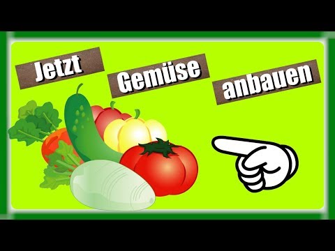 Warum DU dein eigenes Gemüse anbauen solltest