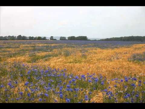 Michel van Dam - Eine Handbreit vom Himmel entfernt