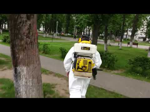 Сухарь Обработка от клещей