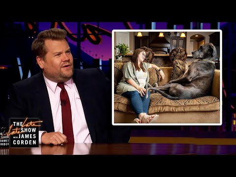 詹姆斯-科登對世界上最大的狗有意見了 (James Corden Has A Bone To Pick w/ World's Biggest Dog)