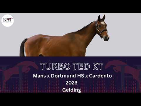 Turbo Ted KT