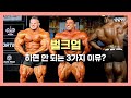 벌크업이 근성장을 방해하는 과학적 이유 | 국제전문 트레이너가 알려주는 벌크업의 장단점 |