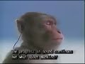1986 Japanese Monkey Commercial