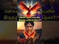 சாம்பலில் இருந்து உயிரோடு வருமா Phoenix Bird