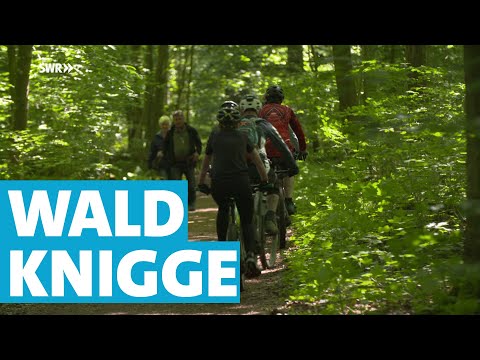 Waldknigge - respektvoll mit Natur umgehen