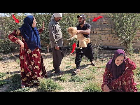 From love to hate: Ali's reaction to Jesus' second wife