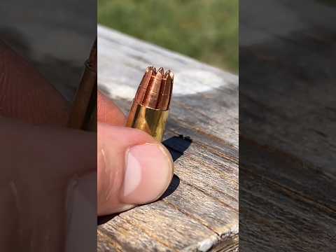 RIP 9mm Vs Human Face = PAIN #civtac #ammo #gun