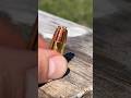 RIP 9mm Vs Human Face = PAIN #civtac #ammo #gun