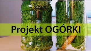 Projekt OGÓRKI - kiszone na solance z Kołobrzegu