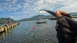 Download lagu AKIRNYA IKAN BABON NAIK JUGA‼️MANCING JORAN TEGEK PINGGIRAN LAUT mp3