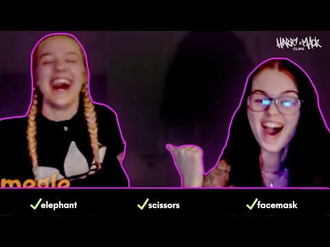 Elephant, Scissors, Facemask | Harry Mack Freestyle (Omegle Bars 35)