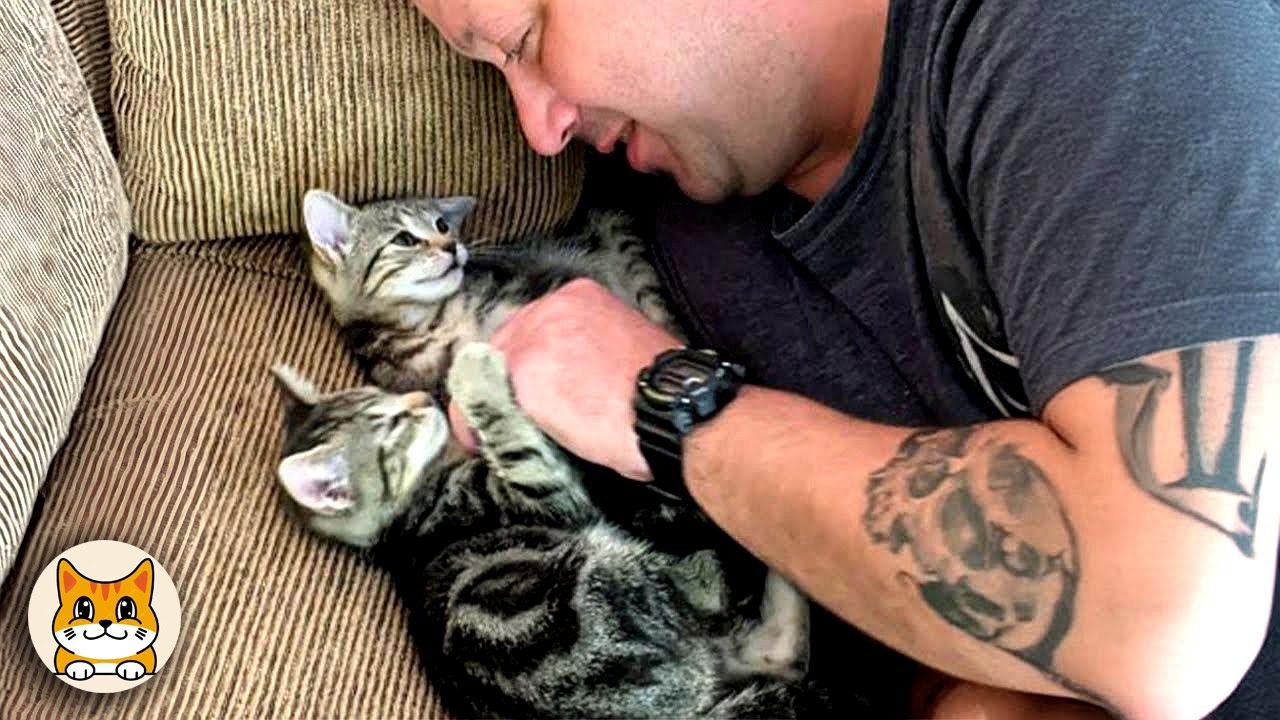 This Man and His Tiny Cat Are Breaking the Internet