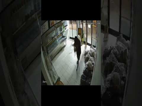Quedó filmado al robar en carnicería de Junín