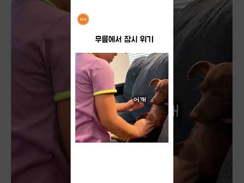 여기가 강아지 무릎  맞나요?ㅋㅋㅋㅋ