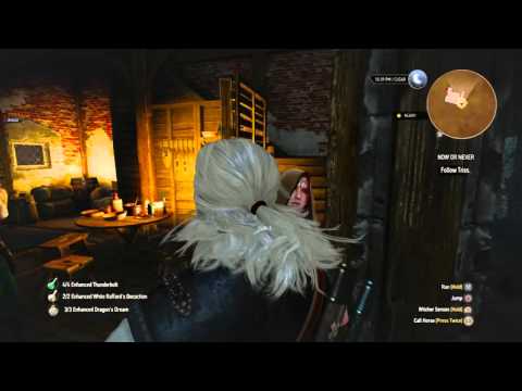 The Witcher 3: triss's door challenge, glitch 2