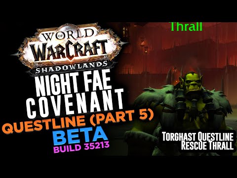 Night Fae Covenant Questline (Part 5) | Shadowlands Beta 35213