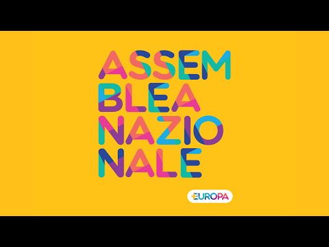 Assemblea *Europa - seconda giornata