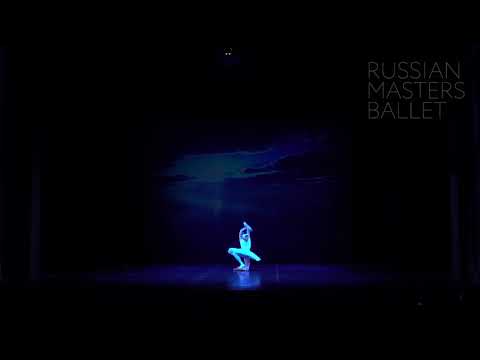 Stars Gala VASP 2019 / The Dying Swan / Oksana Skorik