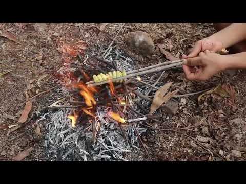 365  Days  How  I Survival, Cooking And Building In The Rain Forest   Full Video