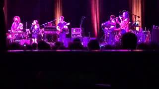 Dweezil Zappa -- Dirty Love