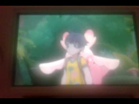 LA PROVA DI IBIS-giro delle isole #07