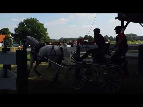 Fahrturnier Ostenfelde 21.8.2022