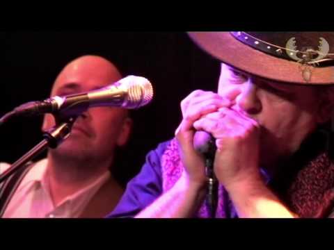 Ramblin' Dog - Unit 29 - live for Bluesmoose Radio