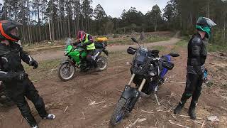 The Boys Head To Neerim - Tenere 700 | CRF250L | Versys-X 300