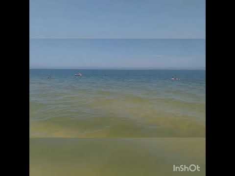Голубицкая, Азовское море, пляж  август 2020 г