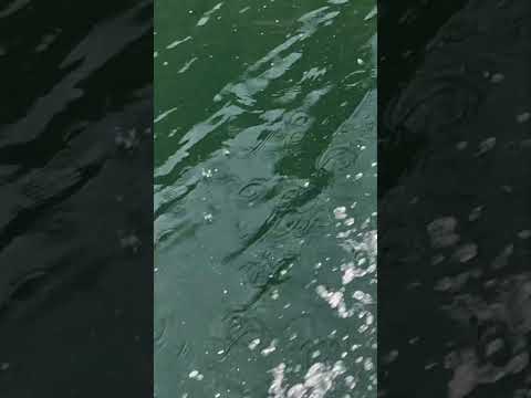 😱 El lugar más INCREIBLE de Norcasia está aquí 🌿💦 #shorts