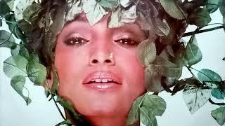 Waldo &quot;Love Don&#39;t Grow On Trees&quot; (loop)