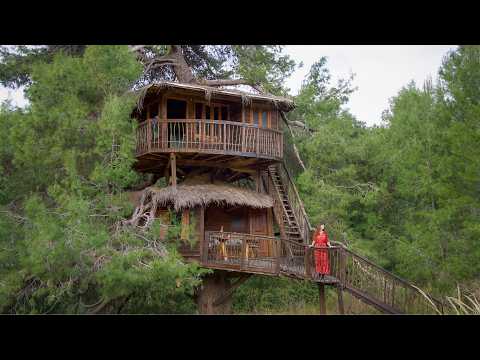 Living Alone In A Treehouse Through Winter Storms