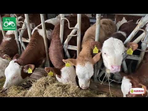 Ferma për prodhimin e qumështit në fshatin Strezovcë të komunës së Kamenicës