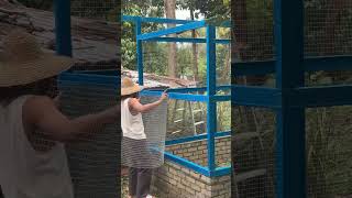 Download lagu Reban ayam kampung mp3