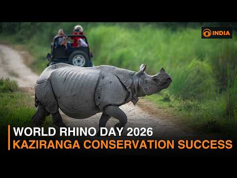 India Celebrates Remarkable Conservation Comeback