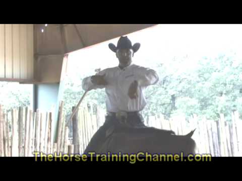 Horse Training Tip: Inside Secret To Understanding A Flowing, Slow Lope