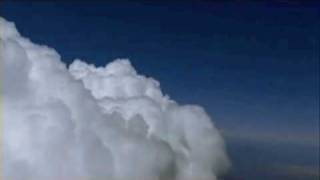 le rondini lucio dalla