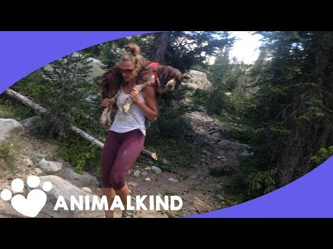 Mom rescues dog from mountaintop